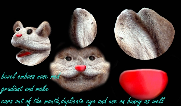 Creation of Outsmarting Bunny Foo Foo: Step 5